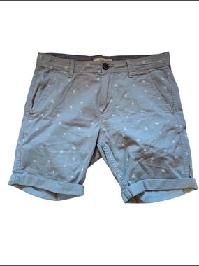 Men's Light Blue Green Printed Cotton Chino Shorts